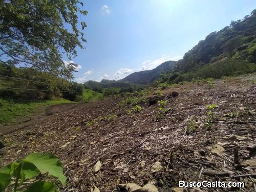 Ganga d elotes campestres, zona campestre y exclusiva del municipio.