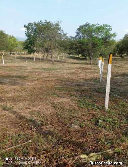 Venta de hermosos lotes financiados, comodas cuotas.