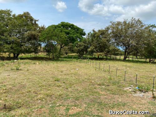 Lote en Bajo PEDREGAL EN RIBERA HUILA