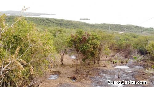 Lote en venta isla tierra bomba 