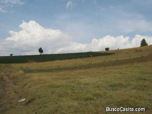Vendo Lote Tota,Boyaca.