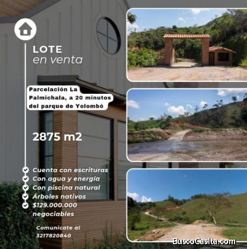 VENTA DE LOTE PARCELACION LA PALMICHALA CISNEROS