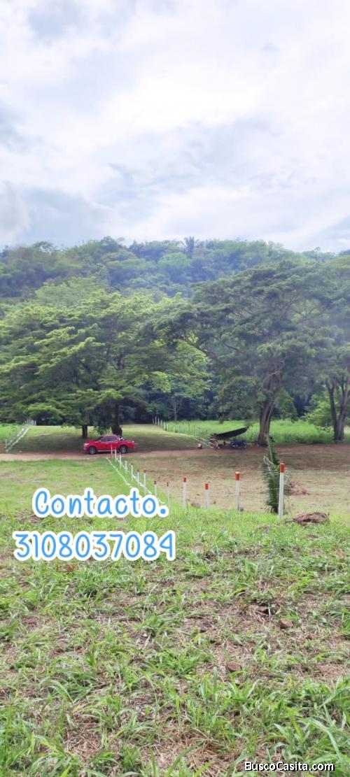 Venta de hermosos lotes campestres planos, entrega inmediata.