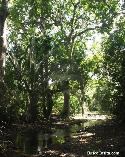 Venta de hermosos lotes campestres, entrega inmediata.Con financiamiento.