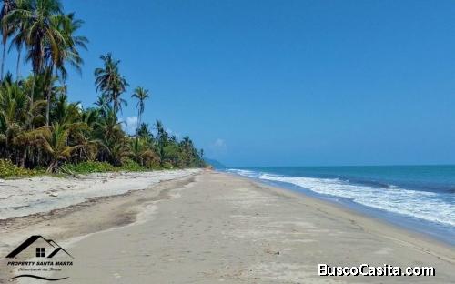Venta de Lotes Frente a la Playa de Palomino en La Guajira, Colombia