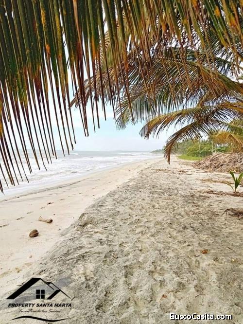 Venta de Terreno Frente a la Playa de Palomino en La Guajira, Colombia