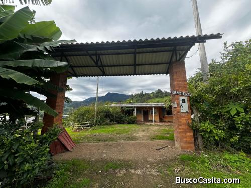 Se vende yo permuta hermosa finca productiva 