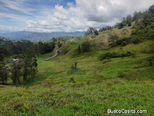 Finca económica con 16 fanegadas: San francisco