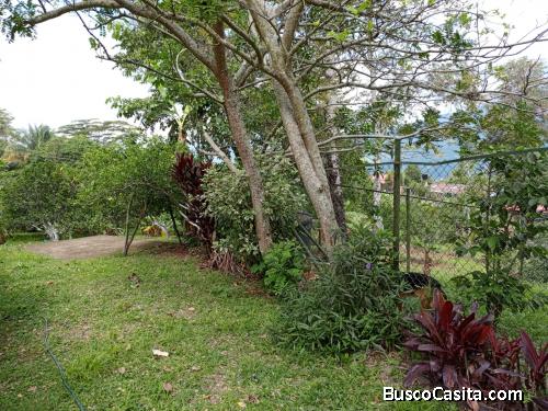 VENDO HERMOSA FINCA VIA A MESITAS EL COLEGIO