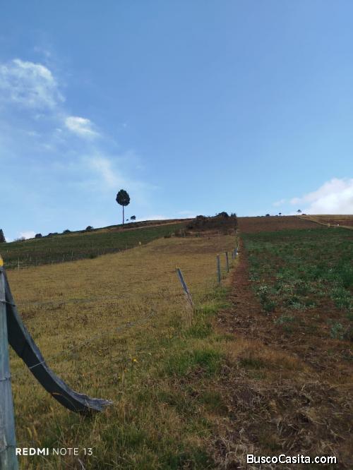 Vendo  Lote Tota, en Boyacá.