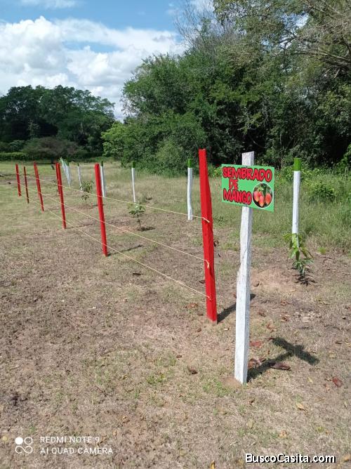 VENTA DE LOTES CAMPESTRES, FACILIDAD DE PAGO