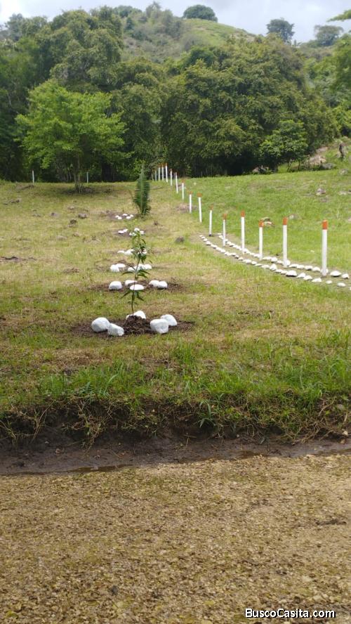 VENTA DE LOTES CAMPESTRES, FACILIDAD DE PAGO