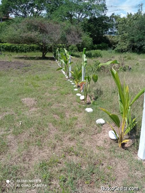 Vendo Lotes Campestres con Frutales.