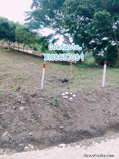 Vendo Lotes Campestres con Frutales.