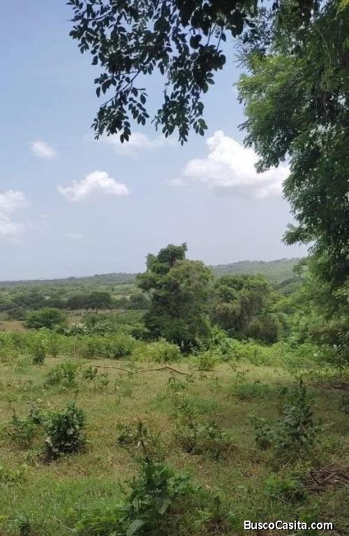 VENTA DE 14 MIL HECTAREAS - PASACABALLOS  COLOMBIA