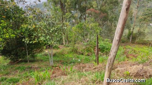 VENTA LOTE 1800 METROS CUADRADOS VEREDA PEÑOLCITO COPACABANA ANTIOQUIA