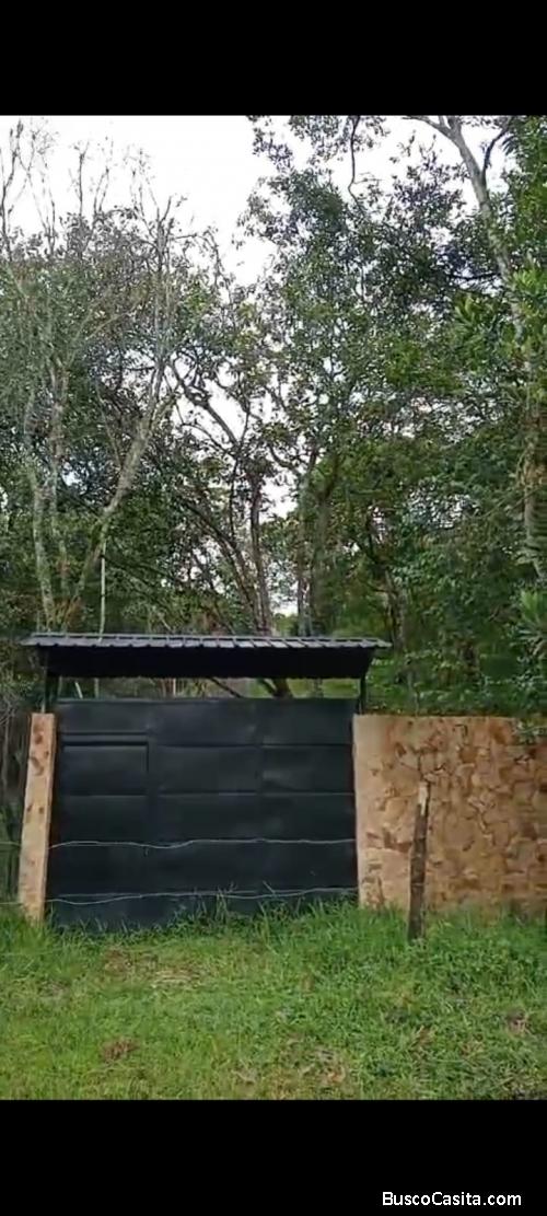 LOTE EN VENTA PANCE