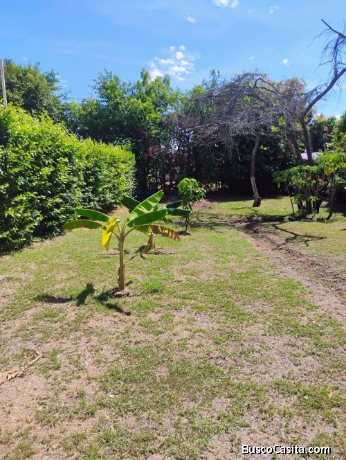 Venta de lote Ricaurte Cundinamarca 