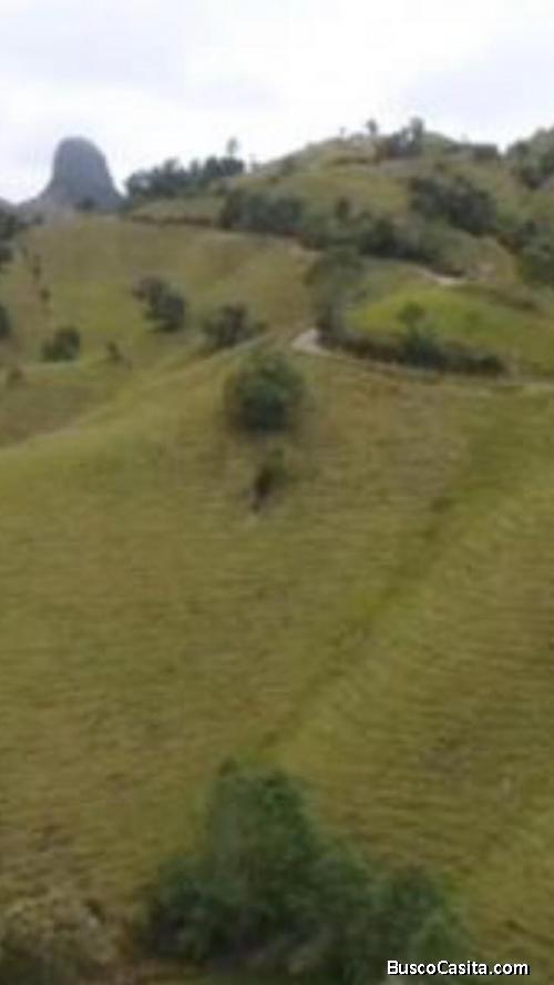 Vendo o Permuto excelente finca en Herveo