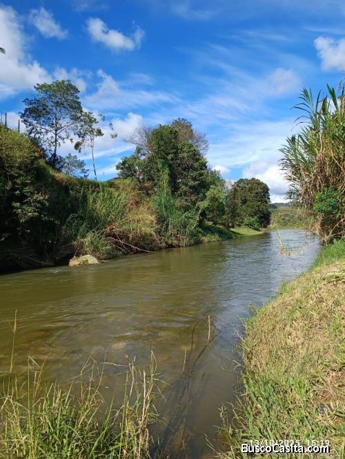 Proyecto en Construcción Bahia San Miguel