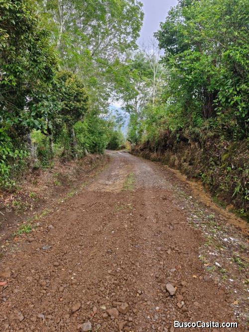 FINCA PARA AGROECOLOGIA 4,27 HECTAREAS A 40 MINUTOS DE PASTO