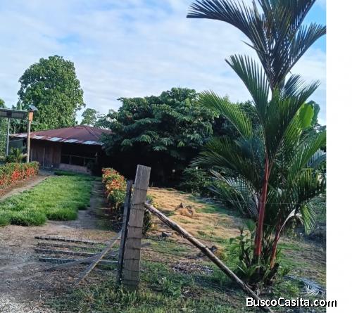 finca de 4 hectáreas y un cuarto