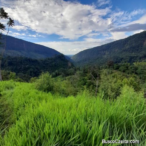 Se Vende Finca en la vereda Llana Fría, San Vicente de Chucurí, Santander, Colombia