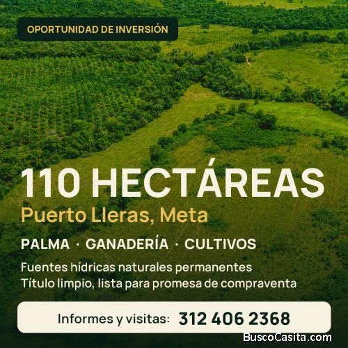 Finca 110 hectáreas en Puerto Lleras (Meta), oportunidad de inversión