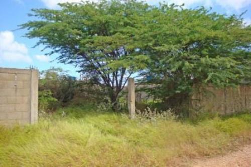 Terreno Venta  Punto Fijo, Estado Falcon COD: 11 1503