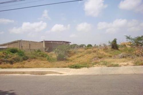 Terreno Venta  Punto Fijo, Estado Falcon COD: 11 5171