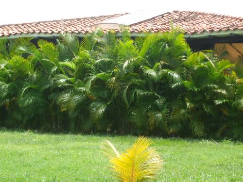 vendo casa Carola V. de Scagliati en El Safari