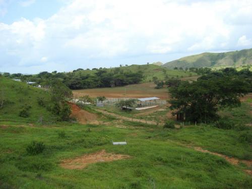 Finca 60 Has, Sector: Paso Pelao  Cantagallo (MD)