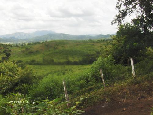 Finca ubicada en el sector de Parapara.