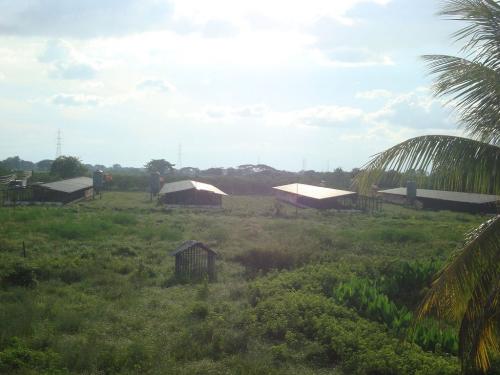 Granja Avicola, Sector Carlos Arvelo (Guigue) (MD)