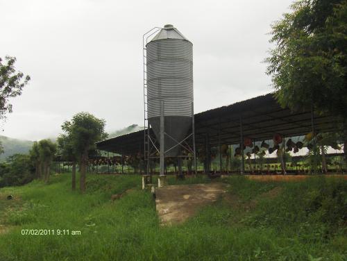 Granja para pollos Carretera vía Belén (Carabobo)(KD)