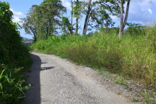 VENTA DE TERRENO EN CAUCAGUA MERECURE 11-6381