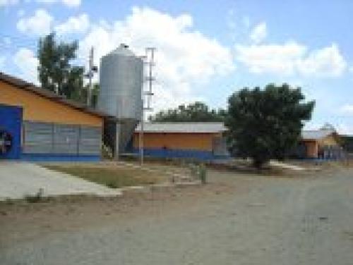 GRANJA AVICOLA EN CAGUA
