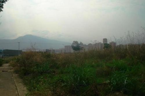 Caraboboinmuebles vende terreno en mañongo codigo MLS #11-3900
