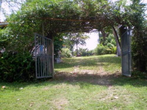 Terreno  en Venta Tocuyito Edo Carabobo cód. 11-6894