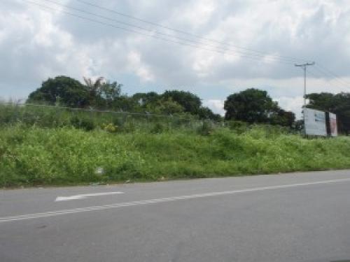 Terreno en Venta Majai Edo Carabobo cód. 11-8093