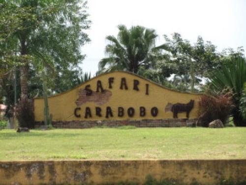  Casa  en Venta Safari Country Club Edo Carabobo cód. 11-8147 
