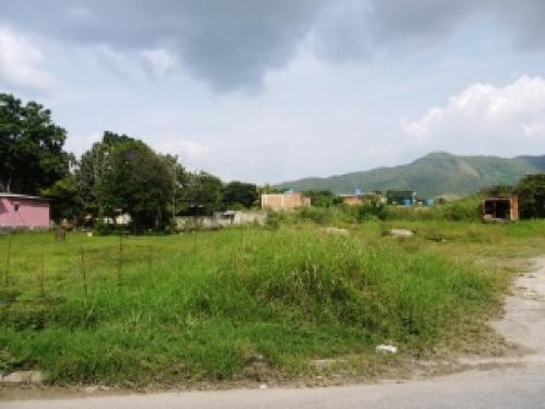 Terreno en Venta San Diego Edo Carabobo cód. 11-8318