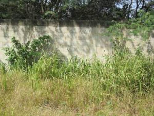 VENTA de TERRENO en PAVIA