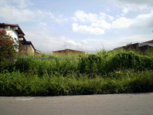 Terreno en Venta Trigal Norte Edo Carabobo 12-4602 
