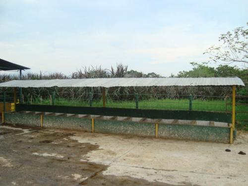 finca en venta Mun. baralt edo Zulia 16.000 hectareas oscar romero