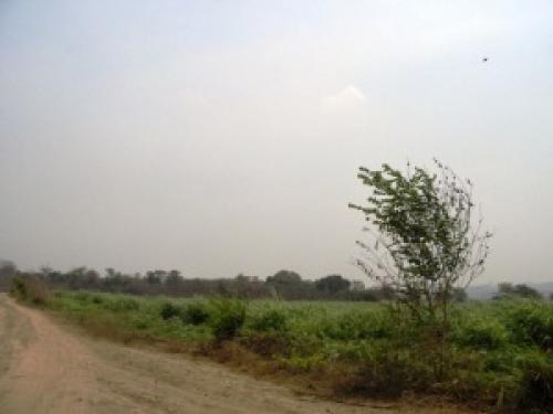 Venta de Excelente Terreno en Cabudare-Barquisimeto 