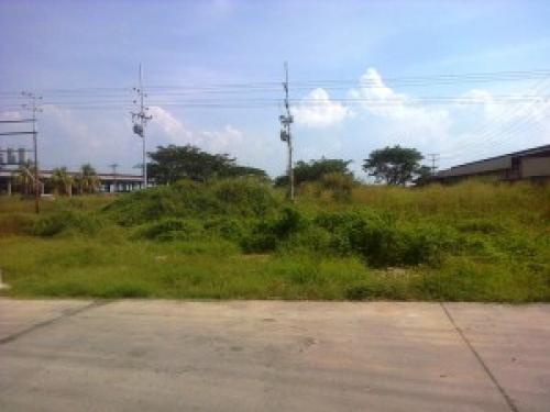 Terreno en Venta San Joaquín Edo Carabobo Cód. 12-7738 
