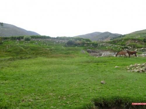 terreno en venta Edo Merida Mucuchies claudia lagioia