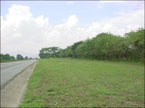 Venta de Excelente Terreno en Carretera principal Yaritagua-Barquisimeto 