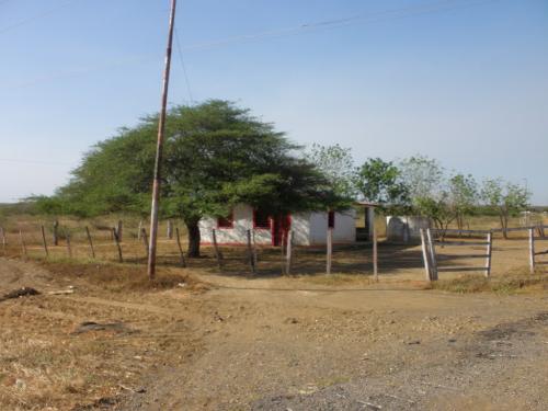 Finca en venta El Mecocal, Falcon Zulia Remaxmillenium